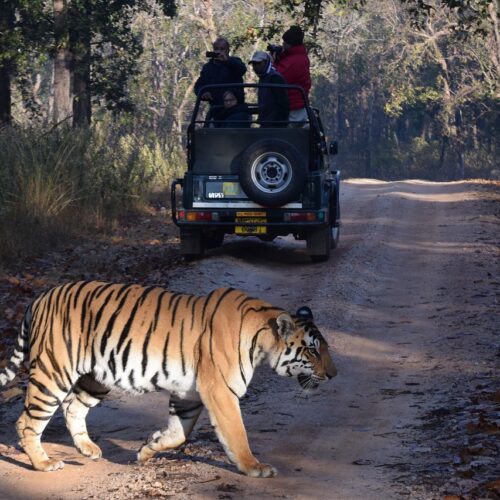 01 Night Stay in Jim Corbett & 1 Night Stay in Nainital